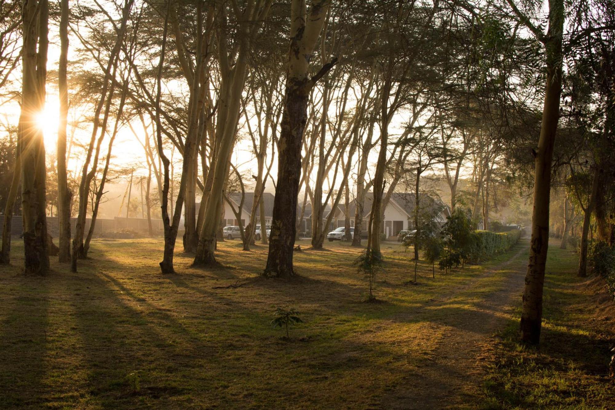 Burch'S Resort Naivasha Camping Esterno foto